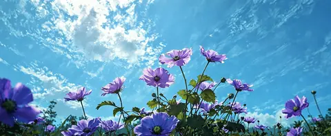 背景示例 1